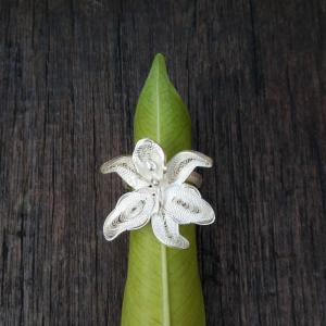 巴拉圭 | 银花丝戒指