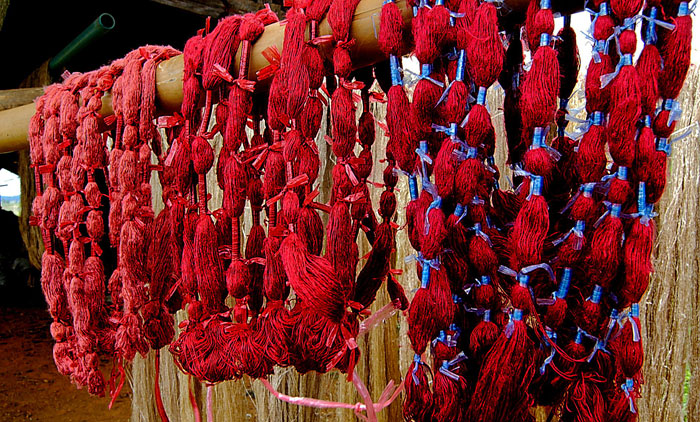 mulberries