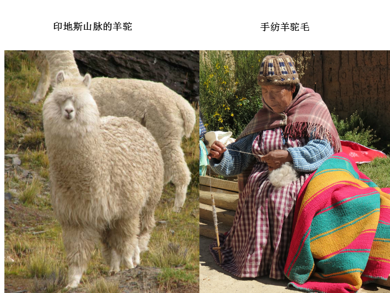 BL01_Maya作坊_Pic3.jpg