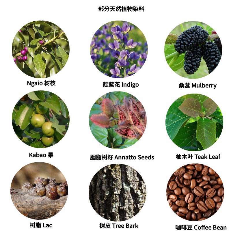 LA01_Mulberries_Pic3.jpg